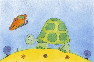 Carte postale : Tortue : Impression sur papier cartonné - Dimension : 10 cm X 15 cm - Prix : 1 € la carte -        8 € la série complète